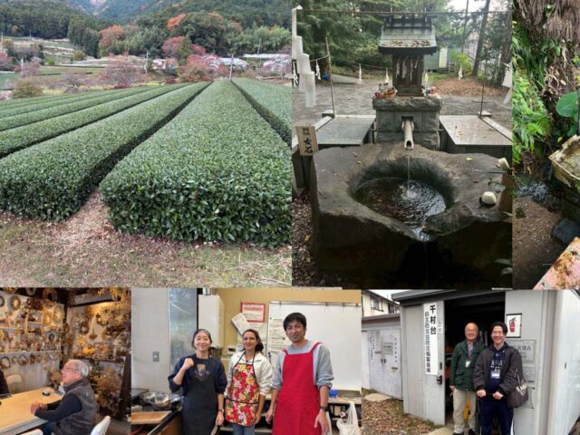 ESDウェビナー開催のお知らせ「秦野X横浜国大名水を受け継ぐまちづくりとは？」